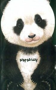 پاندا کوچولو